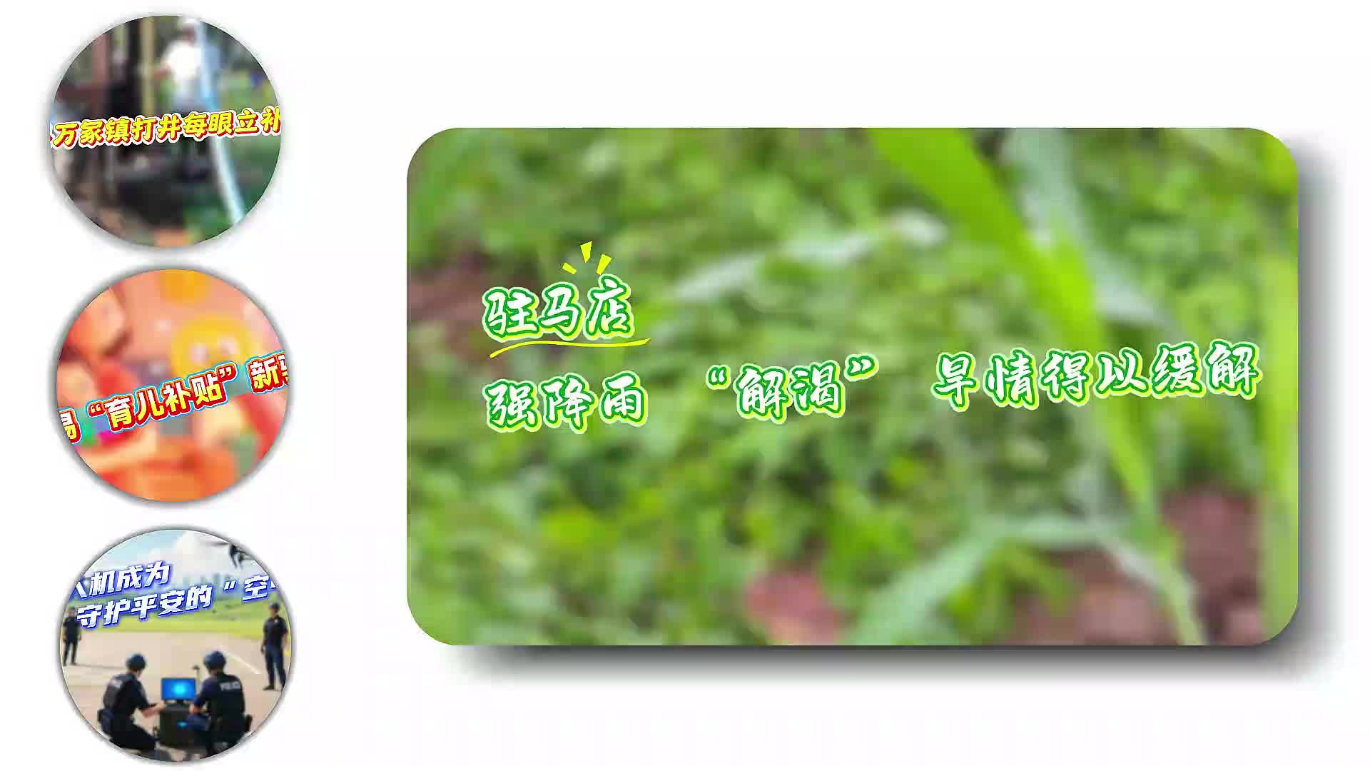 強降雨 “解渴” 駐馬店旱情得以緩解…… |《今日駐馬店》資訊第162期
