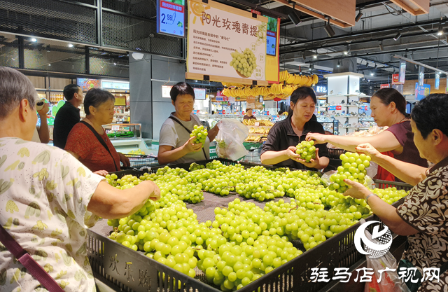 陽光玫瑰價格 “大跳水” 從 “貴族水果” 變市民餐桌?？? width=