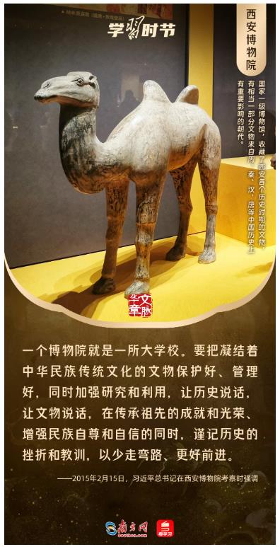 文脈華章丨暑期“博物館熱”，跟著總書(shū)記探尋中華文明