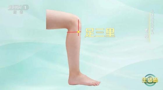 立秋如何養(yǎng)肺？怎么吃更健康？換季養(yǎng)生小貼士請查收