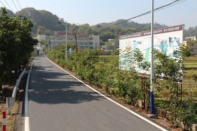 村道電線低垂致傷亡，誰該為逝去的生命負(fù)責(zé)？
