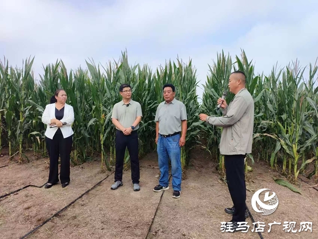  全省玉米花生滴灌水肥一體化推進(jìn)會(huì)暨網(wǎng)絡(luò)觀摩培訓(xùn)在西平縣舉行