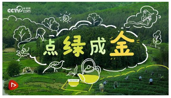 點(diǎn)綠成金
