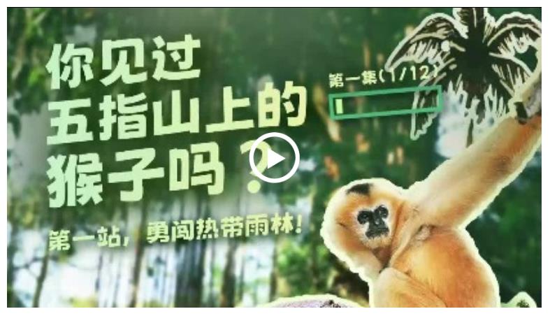幸會(huì)中國(guó) | 走進(jìn)五指山，探秘“人與自然和諧共生”之道