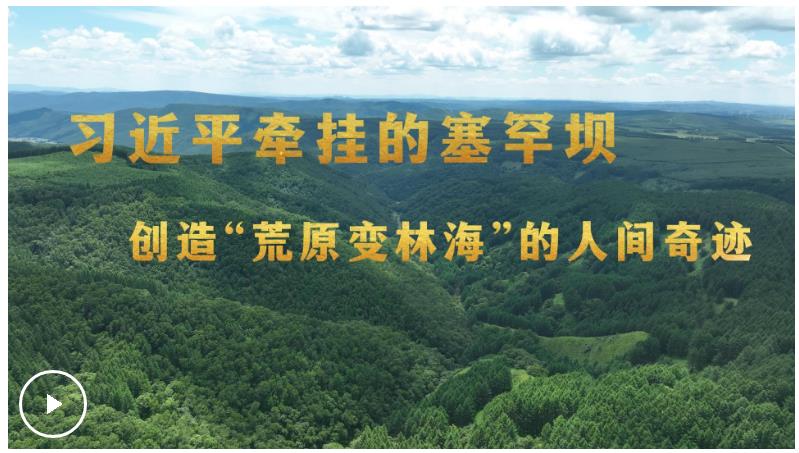 習(xí)近平牽掛的塞罕壩 創(chuàng)造“荒原變林海”的人間奇跡
