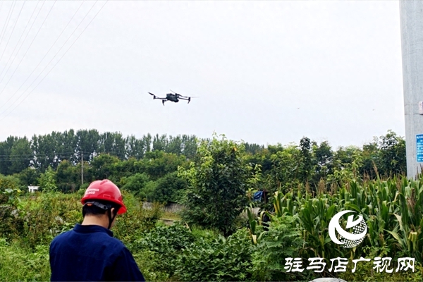 國(guó)網(wǎng)平輿縣供電公司：激光除患護(hù)線路 高效運(yùn)維有保障