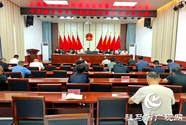 平輿縣十字路鄉(xiāng)：環(huán)境整治三步走，擦亮文明新底色