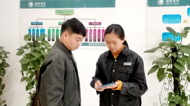國網(wǎng)平輿縣供電公司：數(shù)智賦能 提升電力服務溫度