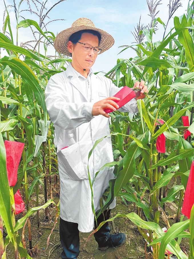 遭受六十四年一遇極端高溫干旱“烤”驗(yàn) 抗旱保秋 河南夠拼