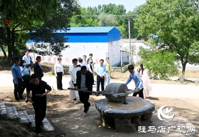泌陽縣王店鎮(zhèn)昌莊村：山水繪就畫卷 芳香點亮鄉(xiāng)村新篇