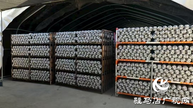 泌陽(yáng)縣：菌棒生產(chǎn)助力食用菌產(chǎn)業(yè)多元化發(fā)展