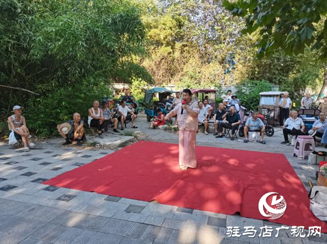 芝麻花藝術(shù)團義務(wù)演出點亮驛城夏夜