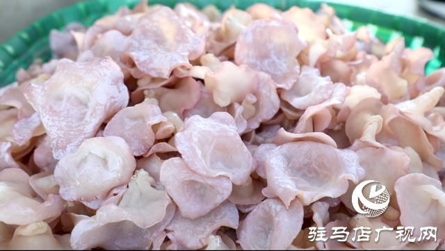 泌陽(yáng)縣泰山廟鎮(zhèn)：引入新品桃紅木耳 助力食用菌產(chǎn)業(yè)多元化發(fā)展