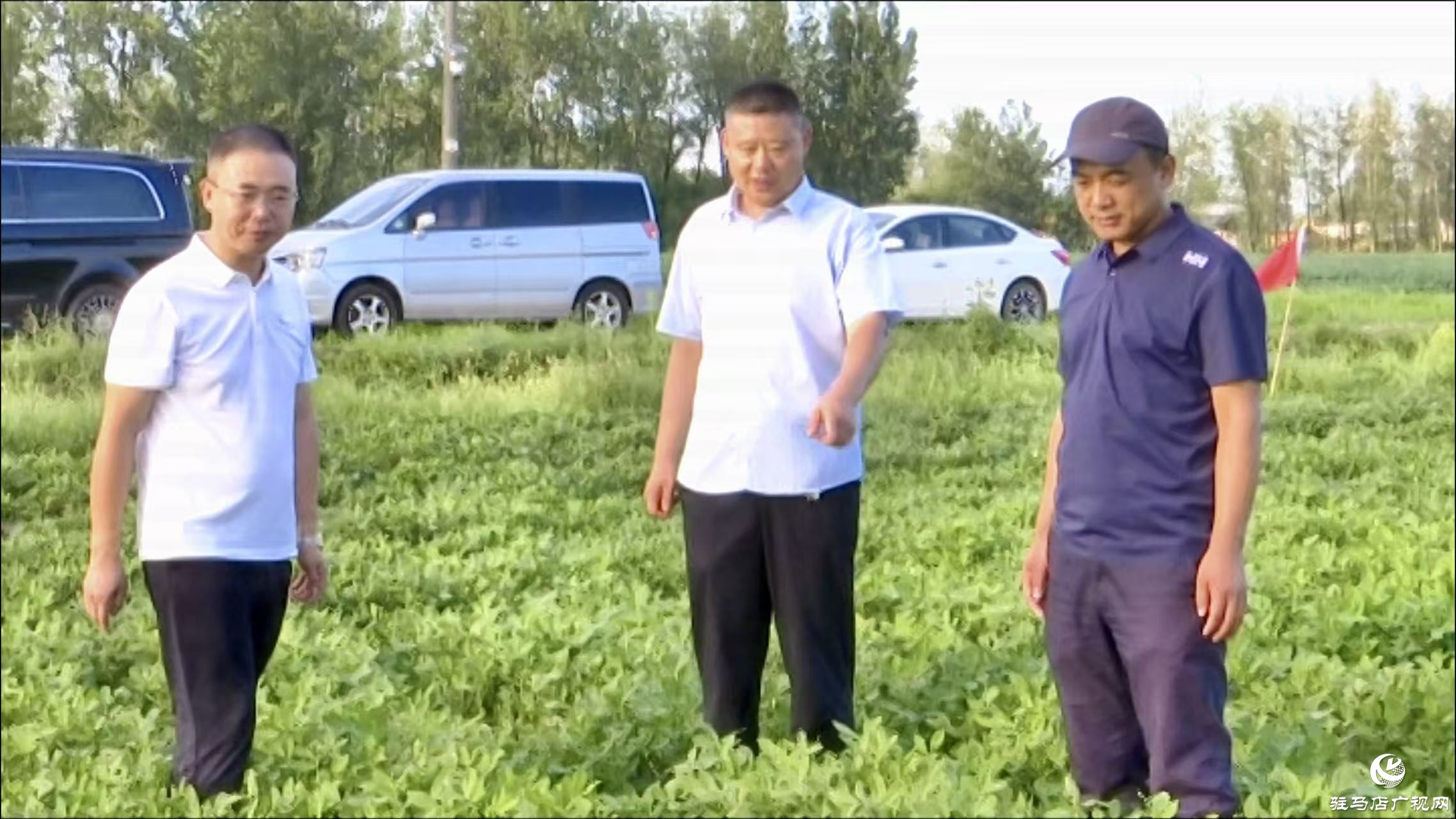 正陽縣：農(nóng)技人員搶抓農(nóng)時(shí) 田間“把脈問診”
