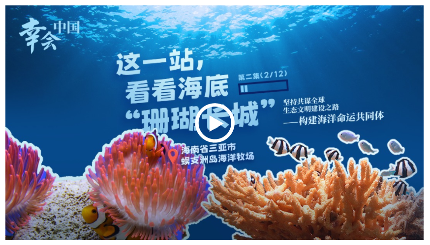 幸會中國 | 守護(hù)珊瑚之美，共筑“海洋命運(yùn)共同體”