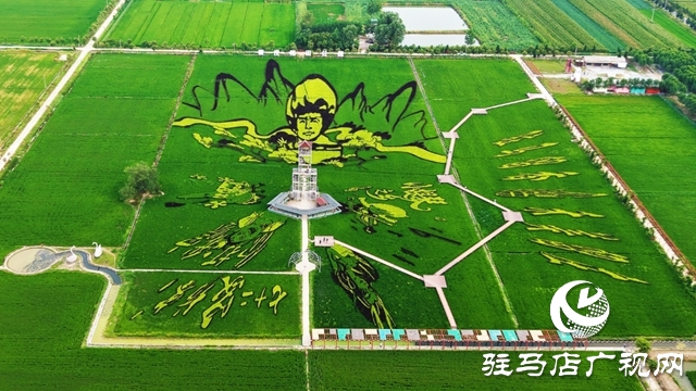 “稻夢(mèng)田園·活力鄉(xiāng)村”體育嘉年華將在確山留莊稻田公園開啟