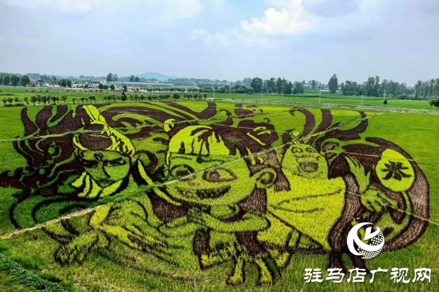 “稻夢(mèng)田園·活力鄉(xiāng)村”體育嘉年華將在確山留莊稻田公園開啟