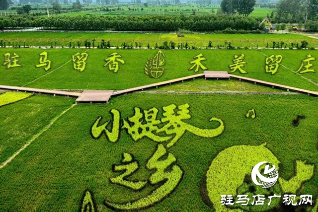 “稻夢(mèng)田園·活力鄉(xiāng)村”體育嘉年華將在確山留莊稻田公園開啟