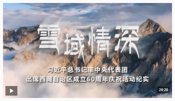 時政紀錄片丨雪域情深——習(xí)近平總書記率中央代表團出席西藏自治區(qū)成立60周年慶?；顒蛹o實
