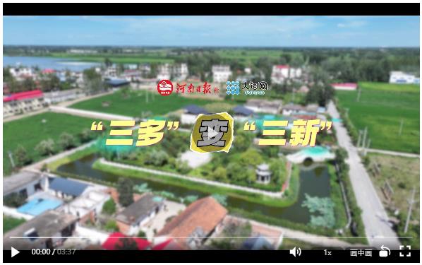 細“治”入微丨“三多”變“三新”