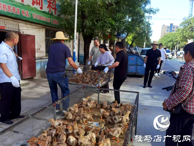 確山縣任店鎮(zhèn)：開展集鎮(zhèn)整治 加強路域管理