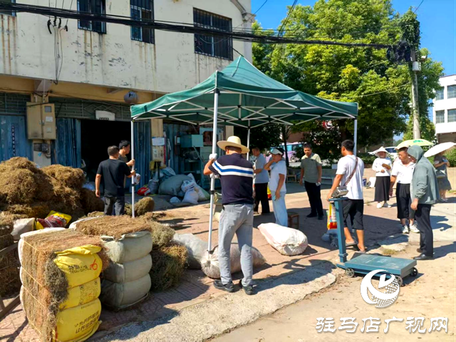 確山縣任店鎮(zhèn)：開展集鎮(zhèn)整治 加強路域管理