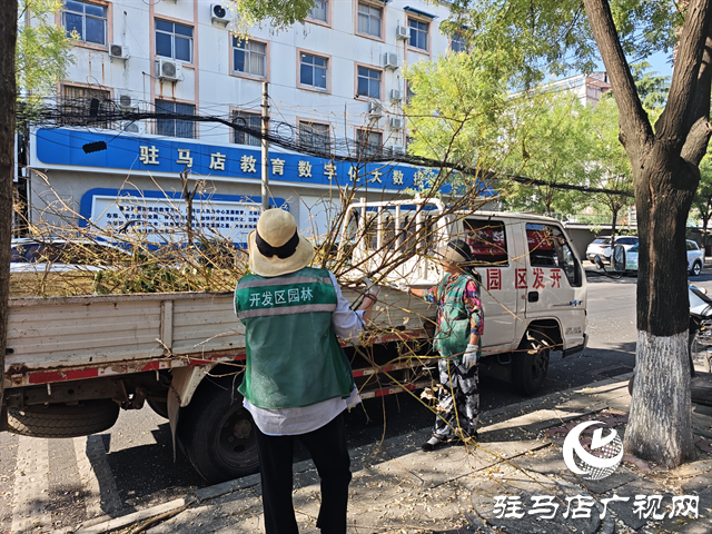  開發(fā)區(qū)城市管理局：開展綠化環(huán)境衛(wèi)生整治凈化城市綠色空間