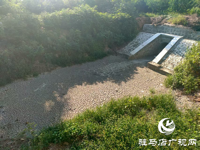  開(kāi)發(fā)區(qū)城市管理局：扎實(shí)開(kāi)展河道專項(xiàng)巡查 守護(hù)城市水生態(tài)