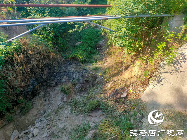  開(kāi)發(fā)區(qū)城市管理局：扎實(shí)開(kāi)展河道專項(xiàng)巡查 守護(hù)城市水生態(tài)