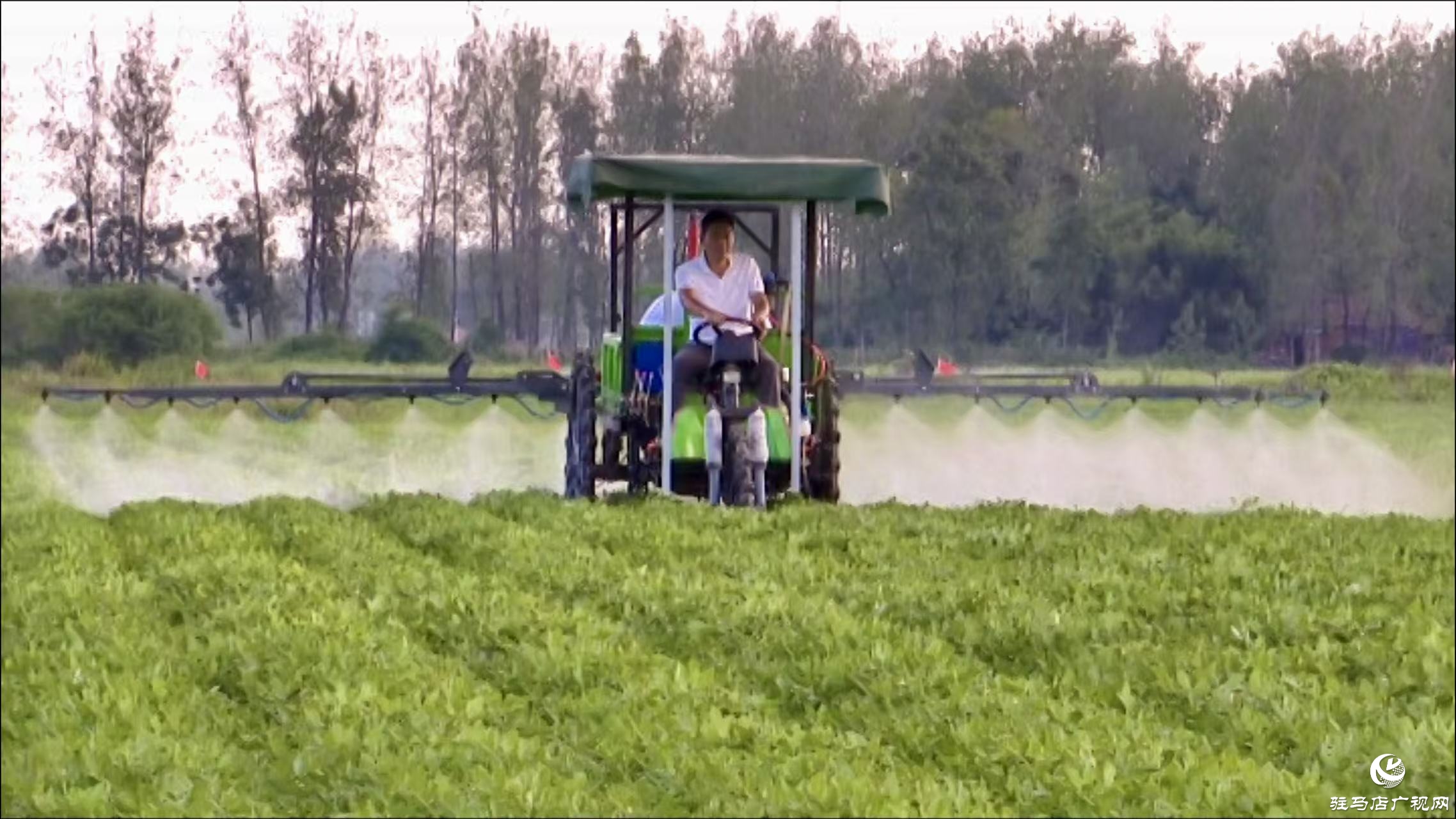 正陽(yáng)縣：農(nóng)技人員搶抓農(nóng)時(shí) 田間“把脈問(wèn)診”