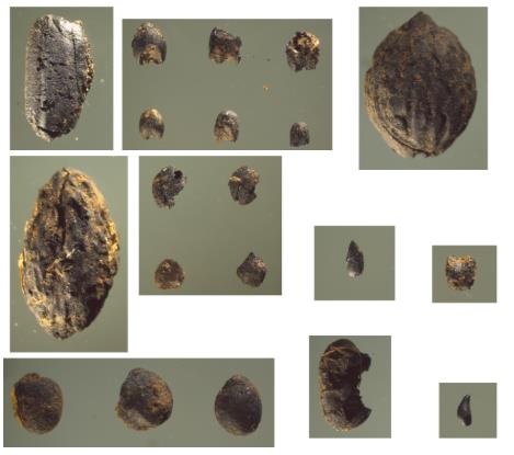 中國人“種地DNA”的源頭，藏在8000年前的河南