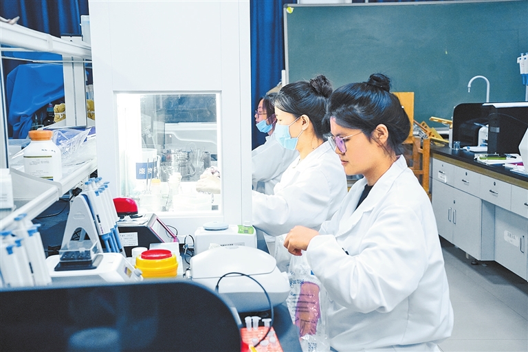 新規(guī)落地 河南職教上“法”條