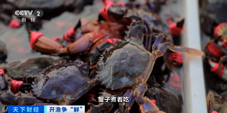 大降價(jià)！低至十元一斤！你愛吃的它，便宜了