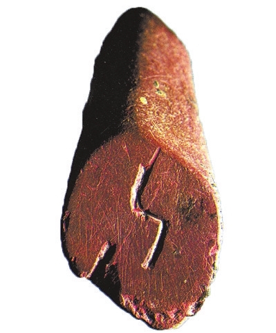 賈湖遺址發(fā)現(xiàn)中國(guó)最早木棺