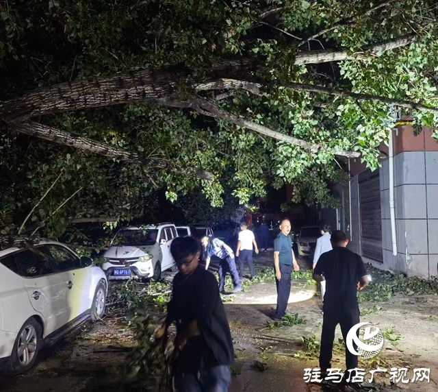  暴雨夜的守護(hù)：干群攜手“暖心”疏通出行路