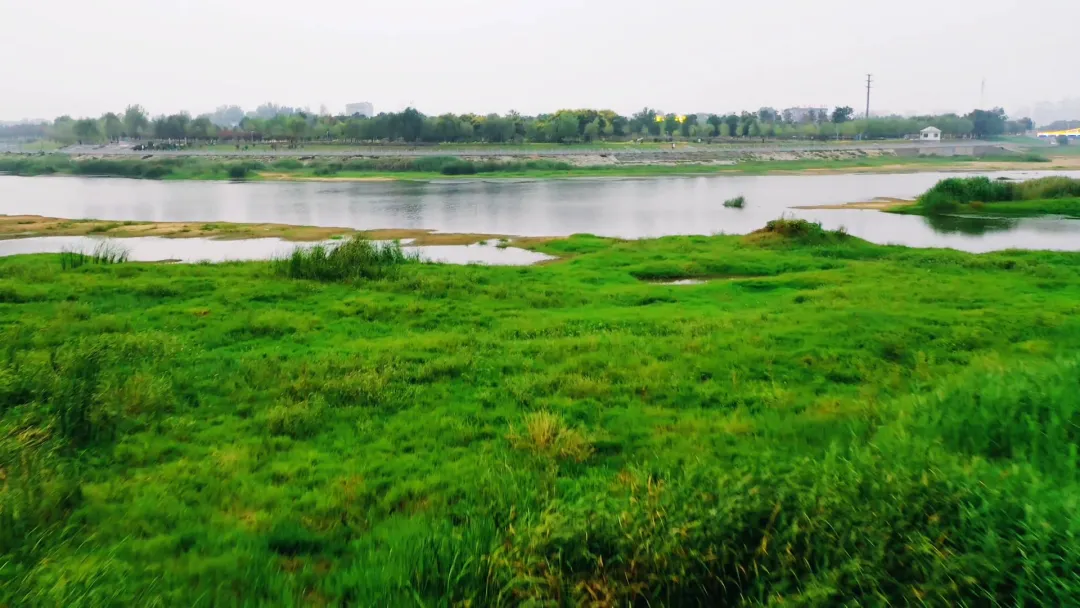 每到傍晚，這個地方的景色很夢幻...