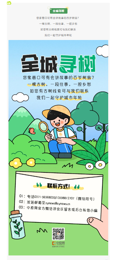 古樹長歌 | 嵩山腳下古道邊，七棵櫟樹跨越千年