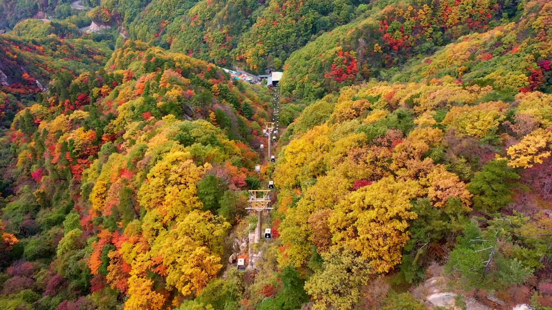 免票！河南這些景區(qū)推出教師專屬福利→