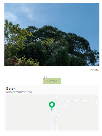 古樹長歌 | 嵩山腳下古道邊，七棵櫟樹跨越千年