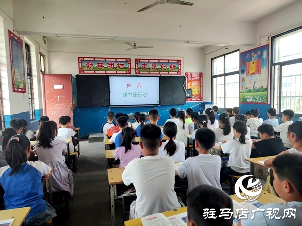 平輿縣第五小學開展綠書簽讀書活動