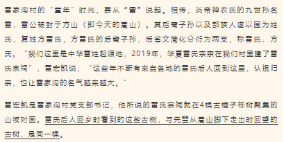 古樹長歌 | 嵩山腳下古道邊，七棵櫟樹跨越千年