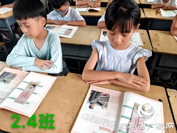 平輿縣第五小學開展綠書簽讀書活動