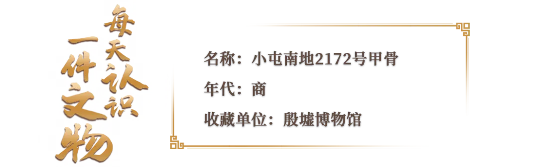 文博日歷丨透過這片“明星甲骨”，一起尋找漢字的源頭！