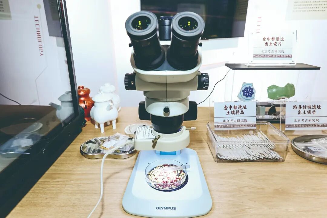 科技賦能·智匯文博——2025服貿(mào)會(huì)文博展區(qū)打造智慧文化體驗(yàn)新場(chǎng)景