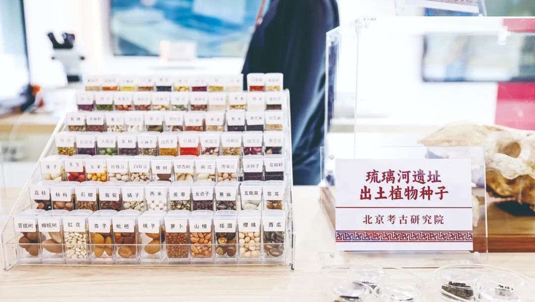 科技賦能·智匯文博——2025服貿(mào)會(huì)文博展區(qū)打造智慧文化體驗(yàn)新場(chǎng)景