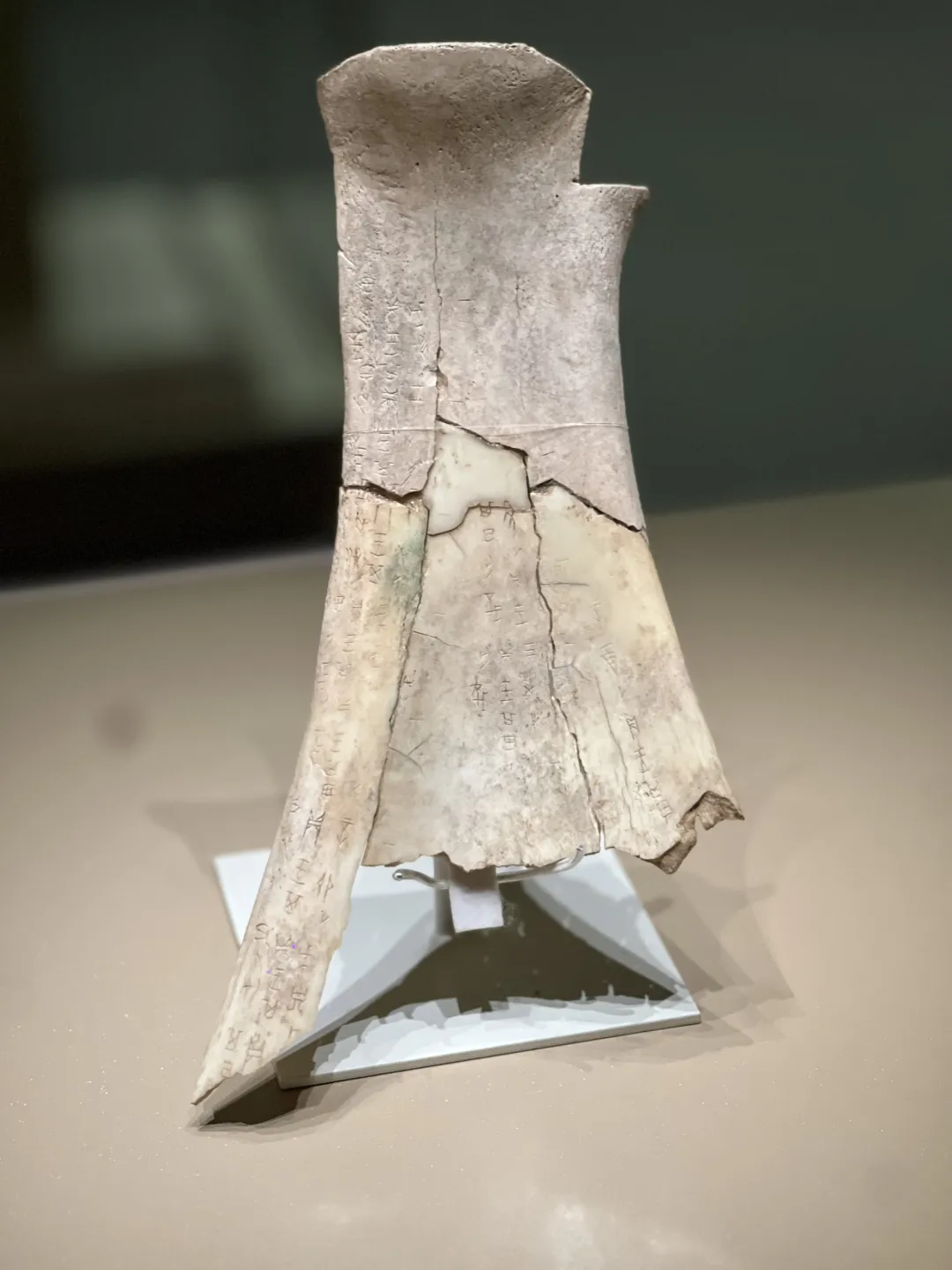 文博日歷丨透過這片“明星甲骨”，一起尋找漢字的源頭！