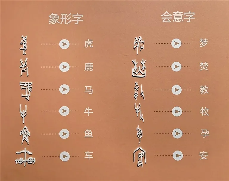 文博日歷丨透過這片“明星甲骨”，一起尋找漢字的源頭！
