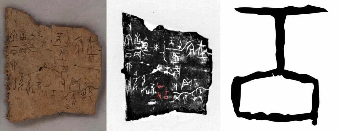 文博日歷丨透過這片“明星甲骨”，一起尋找漢字的源頭！