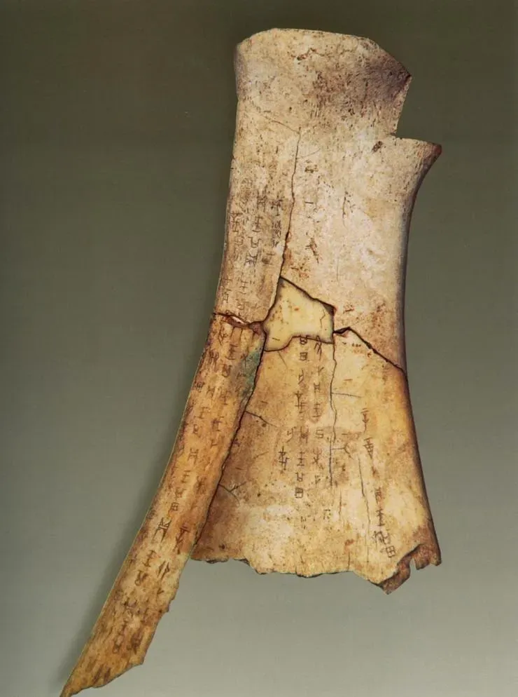 文博日歷丨透過這片“明星甲骨”，一起尋找漢字的源頭！