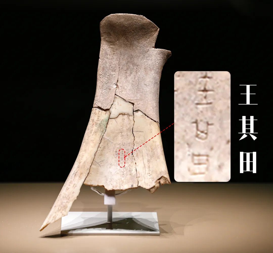 文博日歷丨透過這片“明星甲骨”，一起尋找漢字的源頭！